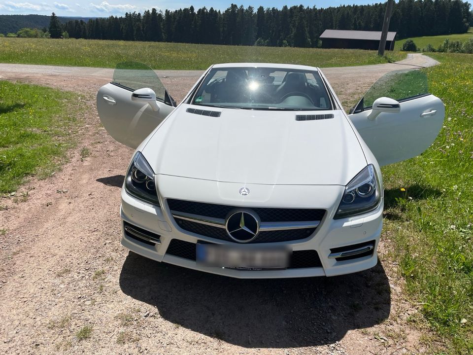 MB SLK 350 AMG-Line / Carbon Look / Airscarf / Panoramadach in Freudenstadt