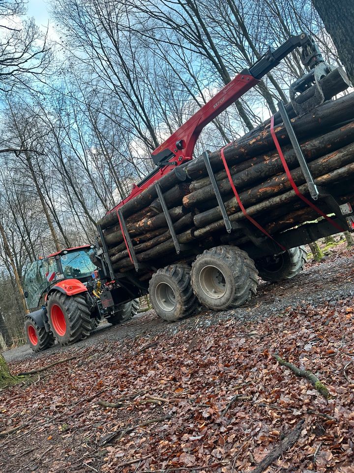 Laubholz, Stammholz, Brennholz, Kaminholz, Holz in Attendorn