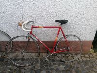 Vintage Rennrad Peugeot Ventoux Reynolds Bonn - Bonn-Zentrum Vorschau