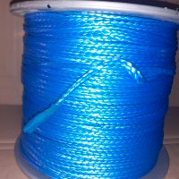 50 Meter Dyna One 6mm Blau 12 Fach m. Geothane Brandenburg - Gühlen Glienicke Vorschau