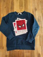 Spiderman Pulli Nordrhein-Westfalen - Vettweiß Vorschau