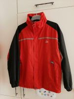 Mc Kinley Funktionsjacke Übergangsjacke Outwear Gr.164 Rheinland-Pfalz - Linz am Rhein Vorschau