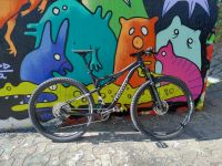 WILIER Carbon Fully 29" 1x12 Kr. Passau - Passau Vorschau