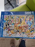 Ravensburger Puzzle 5000 Disney-Figuren Niedersachsen - Walsrode Vorschau