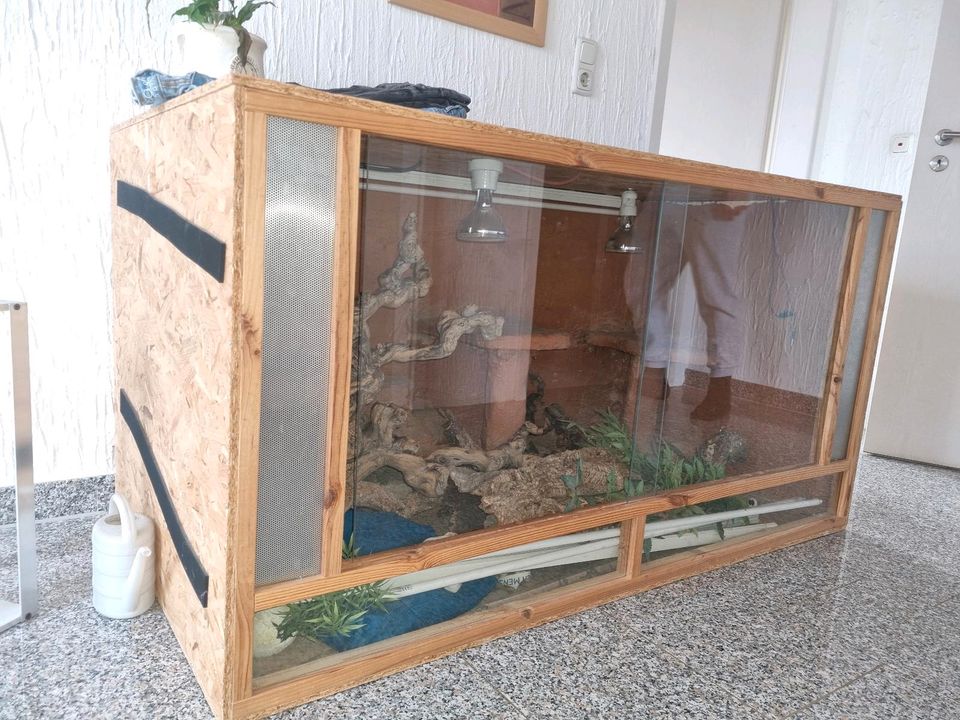 Terrarium für Bartagamen/ Reptilien in Niederzier