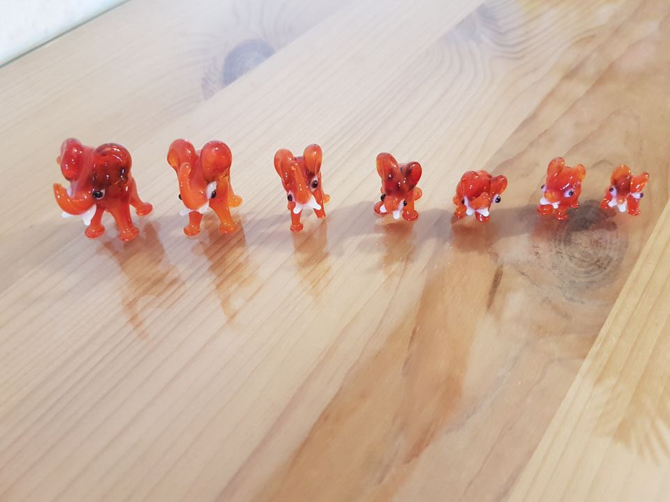 NEU 7 Stück Elefant Glas Miniaturfiguren Figuren Setzkasten in Bayreuth