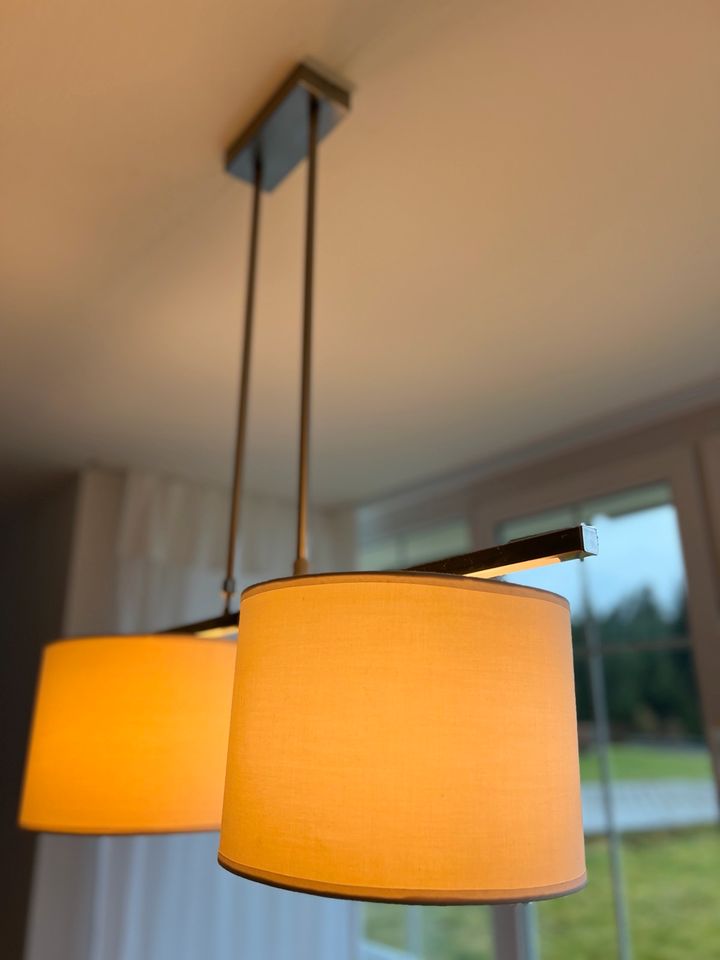 Decken- Lampe / Pendeleuchte in Leonberg