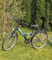 Fahrrad 24 Zoll Pegasus inkl Anlieferung Brandenburg - Bad Saarow Vorschau