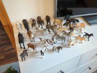 Schleich Pferde Neumünster - Bönebüttel Vorschau