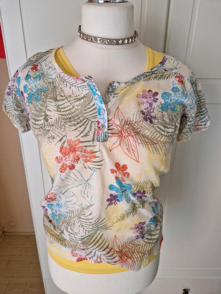 BLUSE,T- SHIRT NEU! in Warburg