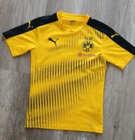 BVB T-Shirt Größe 158 Nordrhein-Westfalen - Bönen Vorschau