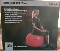 Gymastikball Sitzball ALEX Niedersachsen - Langelsheim Vorschau