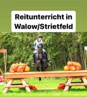 Reitunterricht in Walow/Strietfeld oder mobil Mecklenburg-Vorpommern - Walow Vorschau