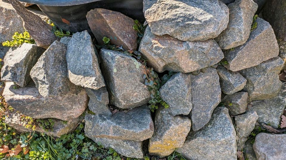 Ab 1€ Granit Steine große kleine Naturstein Mauer Findling in Leipzig