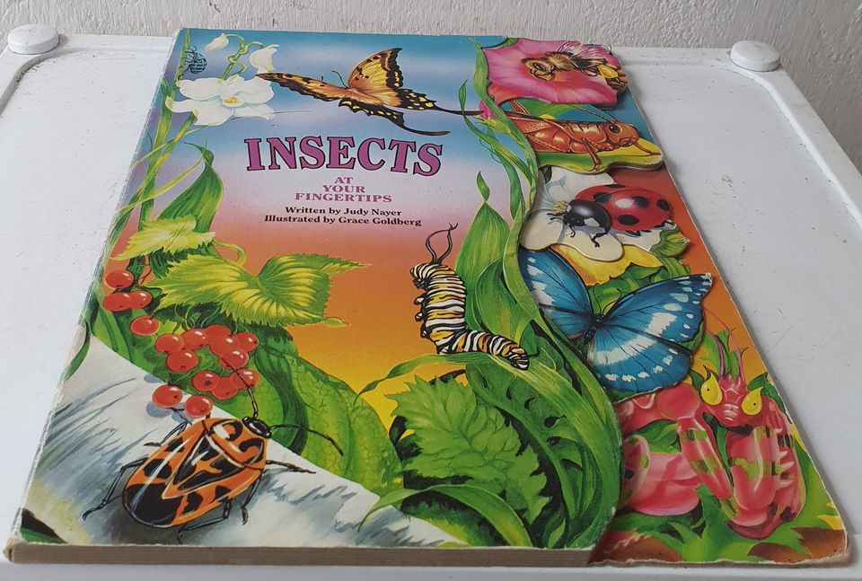 INSECTS AT YOUR FINGERTIPS by Judy Nayer, Pappbuch, englisch in Lübeck