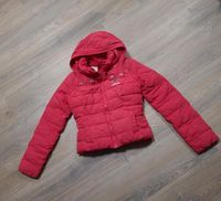 Hollister Winterjacke Gr.146/152 Nordrhein-Westfalen - Hagen Vorschau