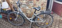 Hercules Fahrrad Hessen - Groß-Gerau Vorschau