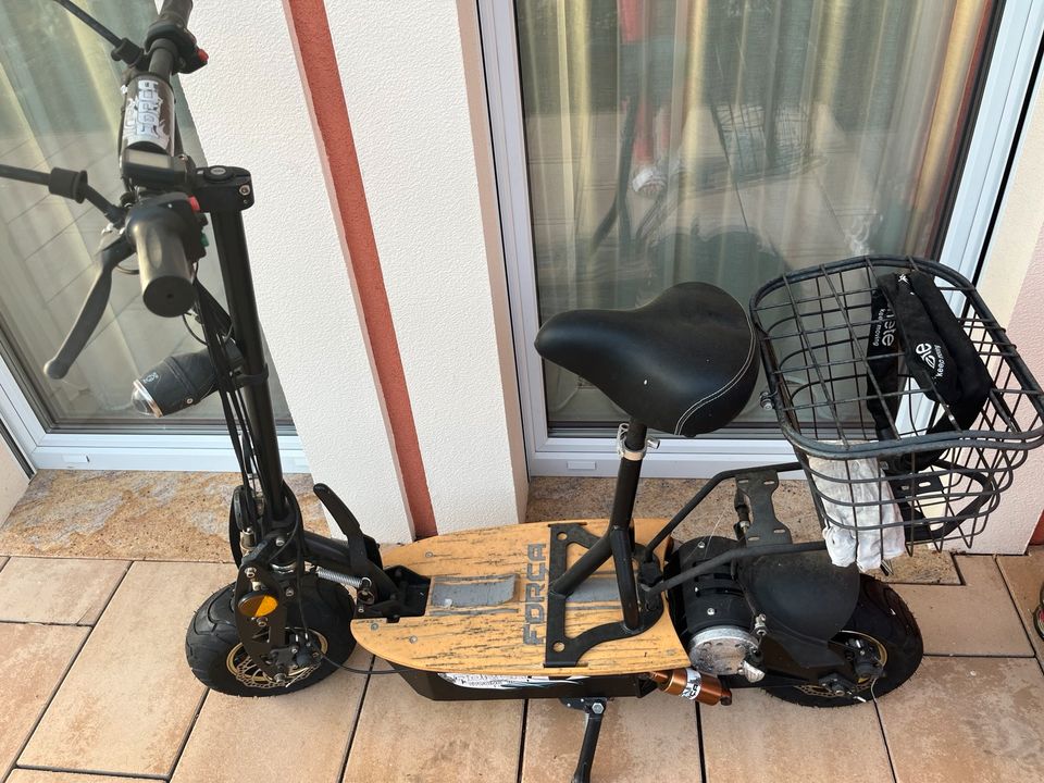 E-Scooter mit Sitz und Blinker in Potsdam