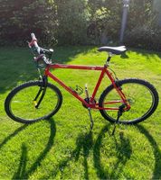 Giant MTB 26 Zoll Michael Schumacher Edition Niedersachsen - Wangerland Vorschau