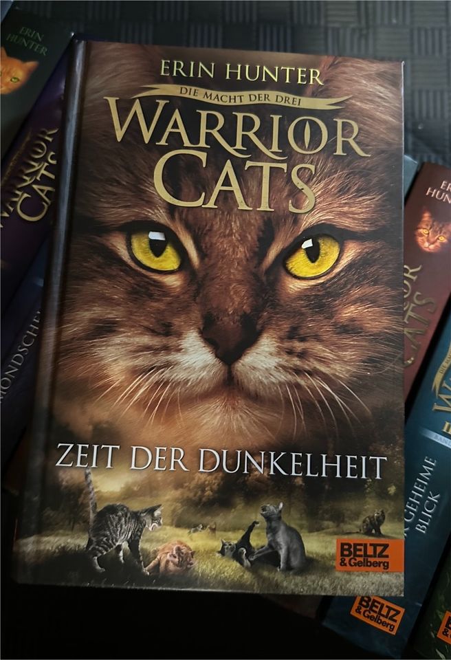 Warrior Cats von Erin Hunter in Detmold