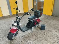 Elektrobike Roller  1200w 45kmh Top Zustand Nordrhein-Westfalen - Bottrop Vorschau