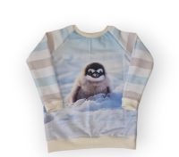 Pullover hoodie Pinguin 110 Baby Pulli langarmshirt Mecklenburg-Vorpommern - Zurow Vorschau