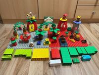 Lego Duplo Little Forest Set Thüringen - Schleusingen Vorschau