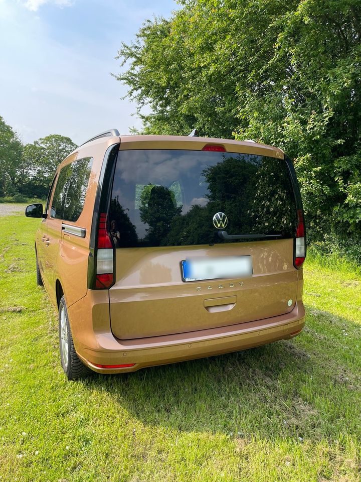 VW Caddy California 2.0TDI Küche,Klima,Pano,AppleCarPlay,Standh. in Meerbusch