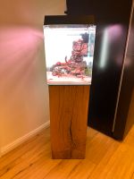 Aquarium Eiche Fuß Schrank Söule 30x30cm Massivholz Klotz Bielefeld - Joellenbeck Vorschau