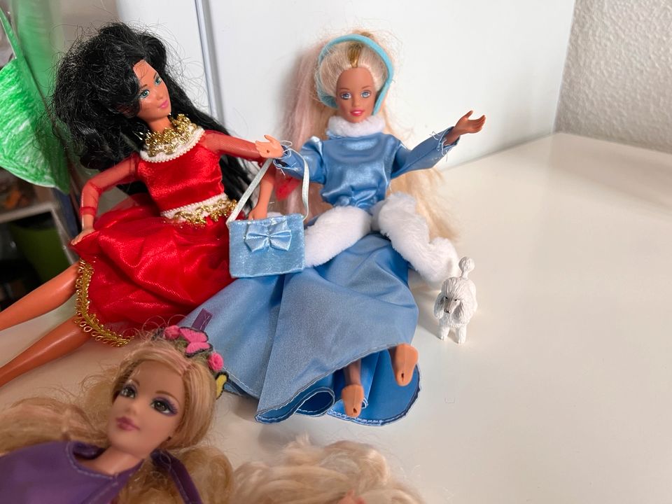 Barbie Sammlung, 20 Barbies + viel Zubehör in Cremlingen