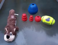6 Teile Set: 5x Original Kong Spielzeug × 1x Bosch Futterball Nordrhein-Westfalen - Bönen Vorschau