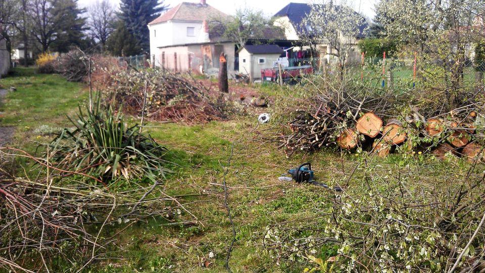 Verwilderten Garten neu gestalten: Astschretter-Stubbenfräse- usw in Wittichenau