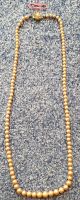 Perlenkette PERLEX 835 - 1 reihig Kette Halskette vers. Perlen Niedersachsen - Wunstorf Vorschau