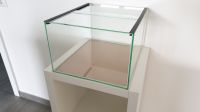 IKEA Kallax Aquarium 33x38x22cm mit Abdeckscheiben 49,99€ Hamburg-Mitte - Hamburg Horn Vorschau