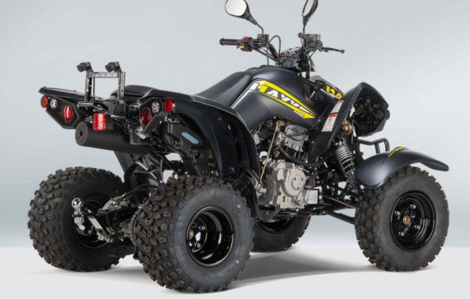 QUAD MAXXER 300 T Offroad LOF in Recklinghausen