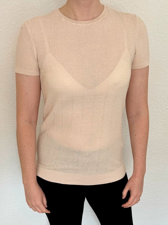 Lanius Pullover Kurzarm ROSE feinstrick, creme, G36 in Leonberg