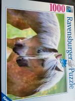 Puzzle Pferde Niedersachsen - Hude (Oldenburg) Vorschau