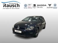 Volkswagen Golf VII 1.6 TDI Comfortline Teilleder Navi Hessen - Lauterbach (Hessen) Vorschau