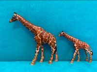 Schleich Giraffen Nordrhein-Westfalen - Kerpen Vorschau