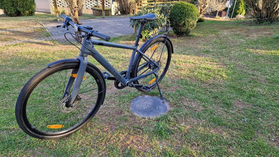 Fahrrad Canyon Canyon Commuter 5 Urban Größe S in Leinefelde-Worbis