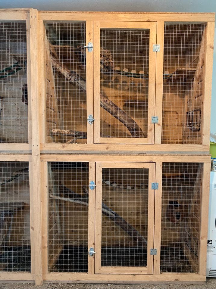 Chinchilla Voliere Stall Käfig Holz mit Einrichtung abzugeben in Bad Kösen
