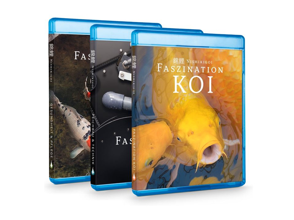 Koi Film Ratgeber - Faszination Koi | BluRay BOX (Teil 1-3) in Waldfeucht