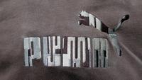 Puma Herren Hoodie Kapuzenpullover in der Größe XL Mecklenburg-Vorpommern - Neubrandenburg Vorschau
