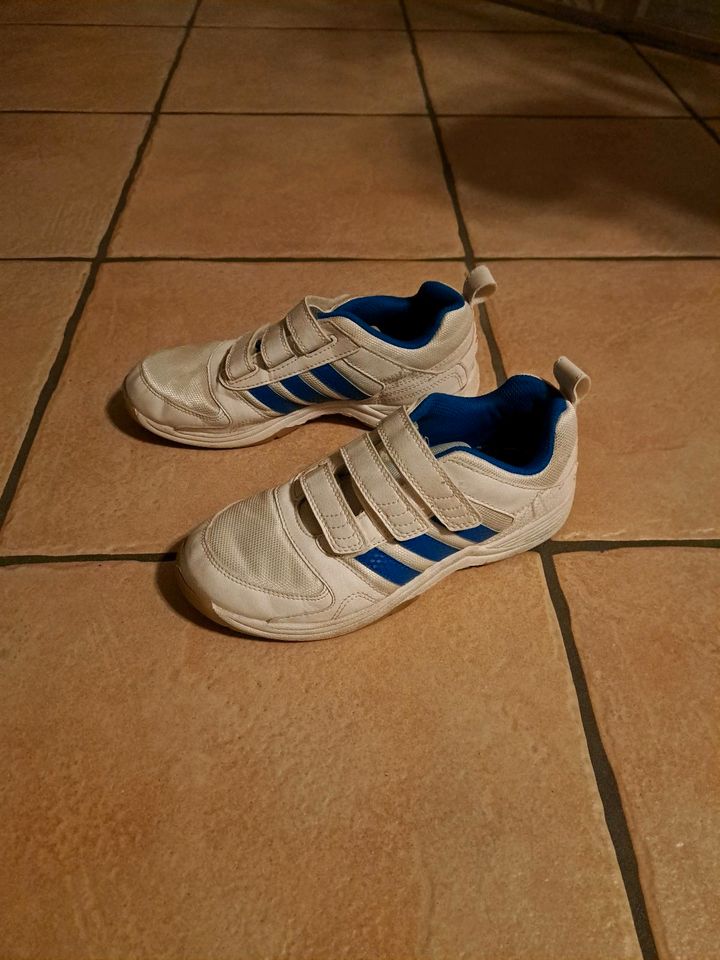 Adidas Sportschuh Größe 35 in Niederkassel