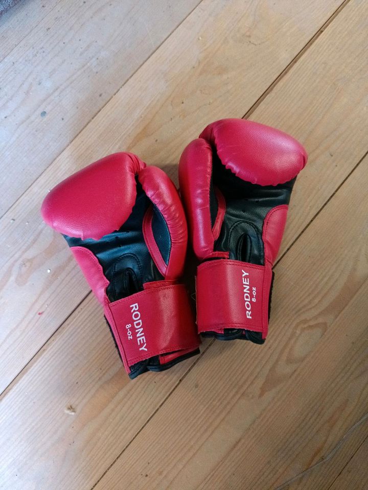 Boxhandschuhe Rocky Marciano Benlee neuwertig in Calw