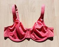 prima donna Rosa faia Anita bh bra bustier mit Bügel 100D top Saarland - Völklingen Vorschau