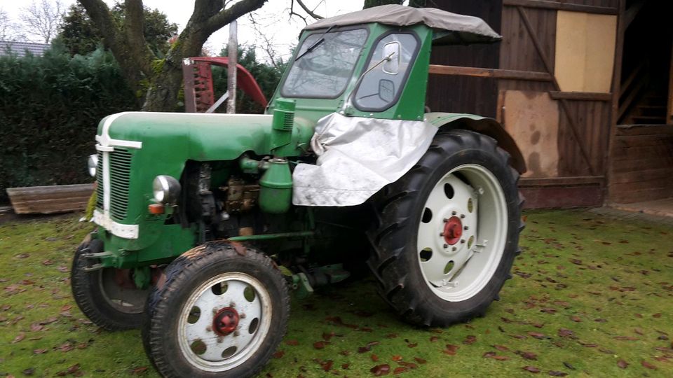 Traktor Famulus RS 14/30 Schlepper Treckertreck Alt in Halbendorf