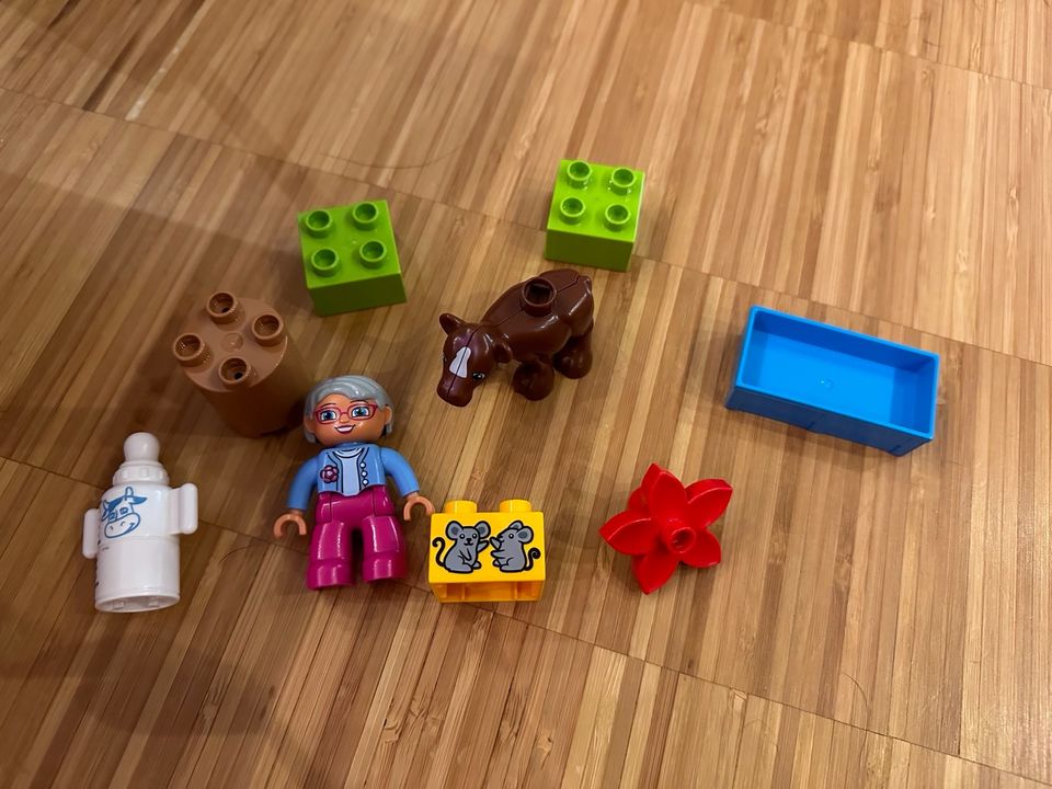 Lego 10521 Duplo - Baby-Kalb in Hessen - Trebur | Lego & Duplo günstig  kaufen, gebraucht oder neu | eBay Kleinanzeigen ist jetzt Kleinanzeigen