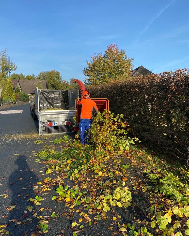 Entsorgung | Grüngut Entsorgung | Grünabfall in Wietzendorf