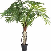 Deko Pflanze Big Monstera 175cm - Muster - NEU - UVP 589 € Nordrhein-Westfalen - Gütersloh Vorschau